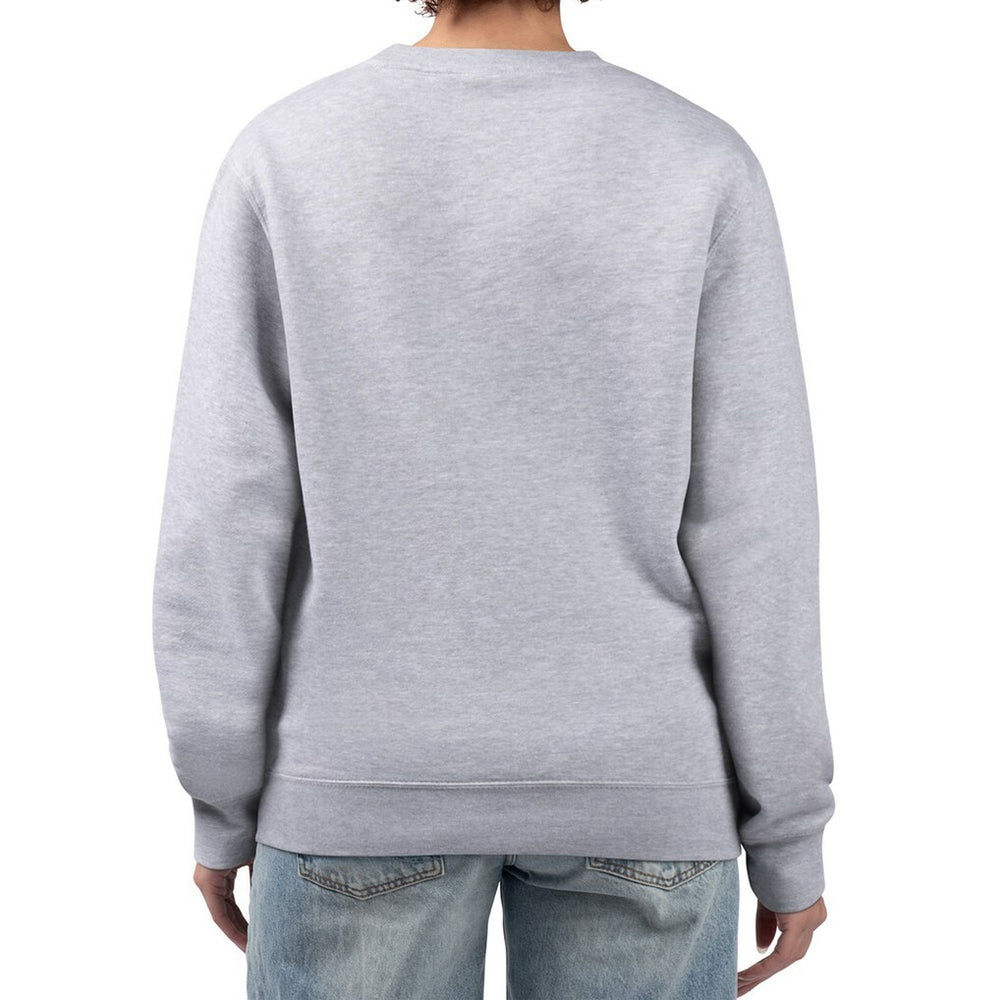 Las Vegas Raiders G-III 4Her by Carl Banks Women's Distressed Graphics Fleece Pullover Sweatshirt - Gray - NFL