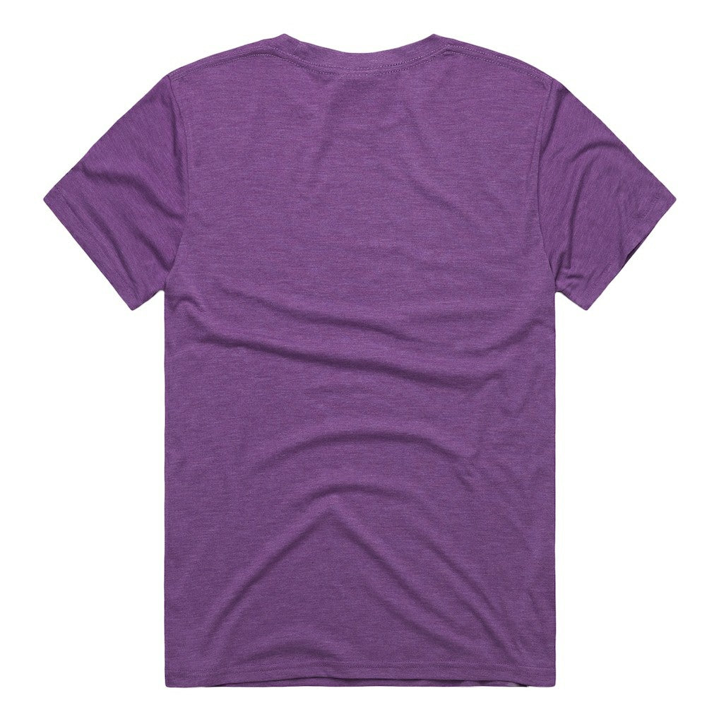Minnesota Vikings Homage Unisex NFL ASL Collection by Love Sign Tri-Blend T-Shirt - Purple - NFL
