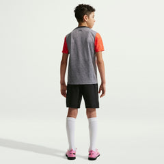 Nike - Chelsea Youth 2025/26 Academy Pro Pre-Match Top - Gray