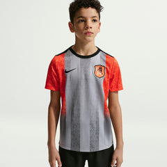 Nike - Chelsea Youth 2025/26 Academy Pro Pre-Match Top - Gray