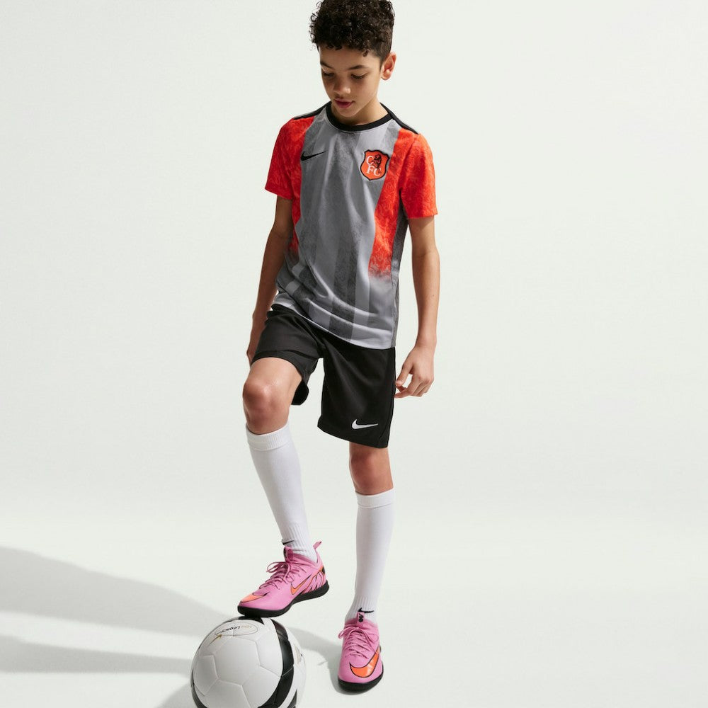 Nike - Chelsea Youth 2025/26 Academy Pro Pre-Match Top - Gray