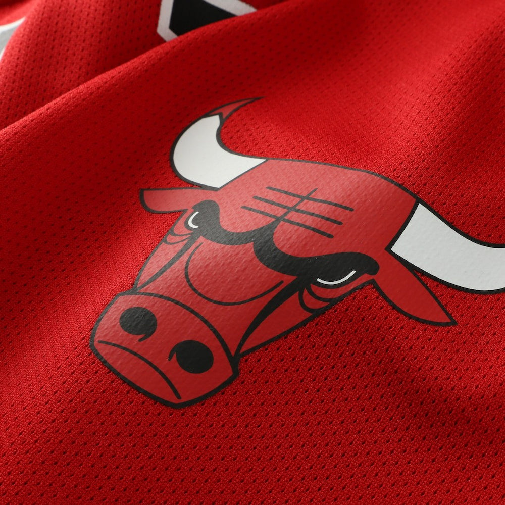 Mitchell & Ness Dennis Rodman Chicago Bulls Big & Tall NBA Hockey Jersey Red