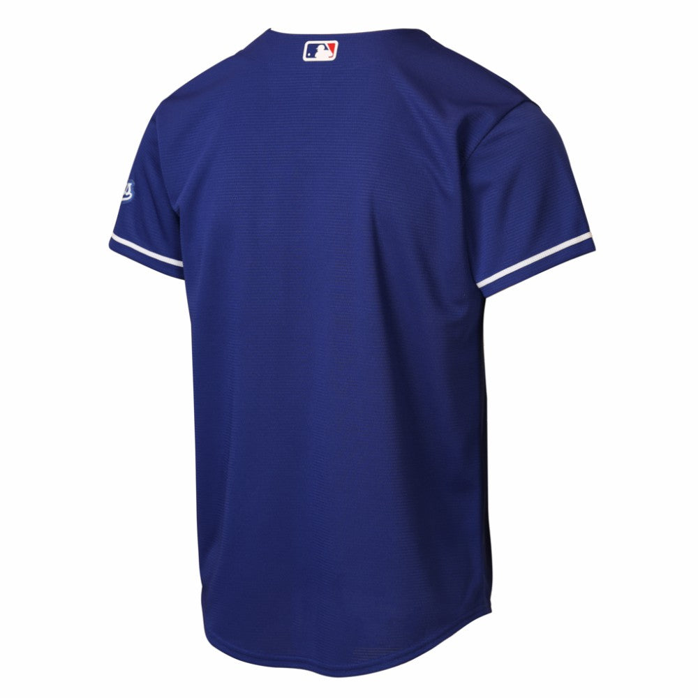 Los Angeles Dodgers Nike Youth Alternate 2 Stadium Jersey Discount