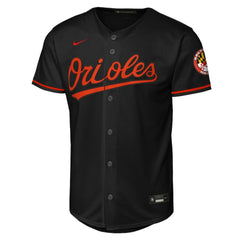 Baltimore Orioles Nike Youth Alternate Stadium Jersey Discount