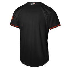Baltimore Orioles Nike Youth Alternate Stadium Jersey Discount