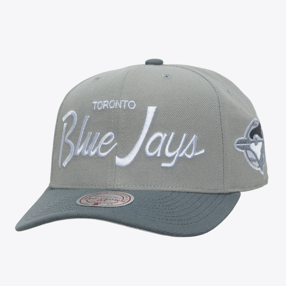 Toronto Blue Jays Mitchell & Ness Cooperstown Thunderstorm Head Coach Pro-Crown Adjustable Hat Sale