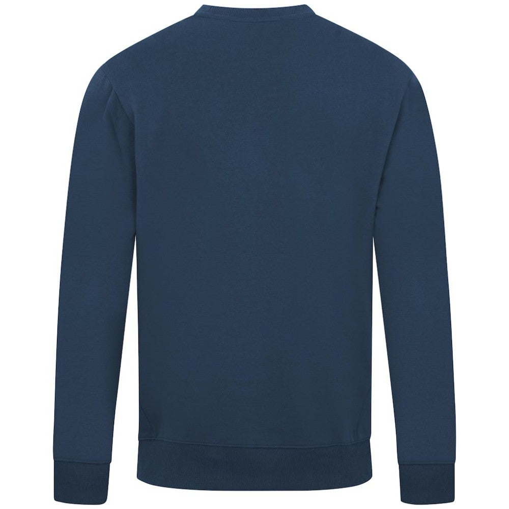 Tampa Bay Rays Levelwear City Connect Zane Back Splash Sweatshirt Sale
