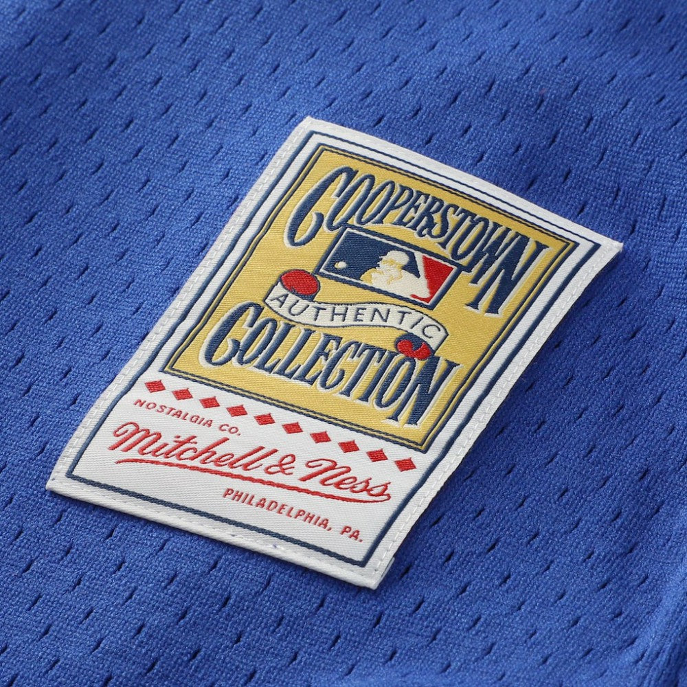 Lenny Dykstra New York Mets Mitchell & Ness Authentic Batting Practice Jersey Discount
