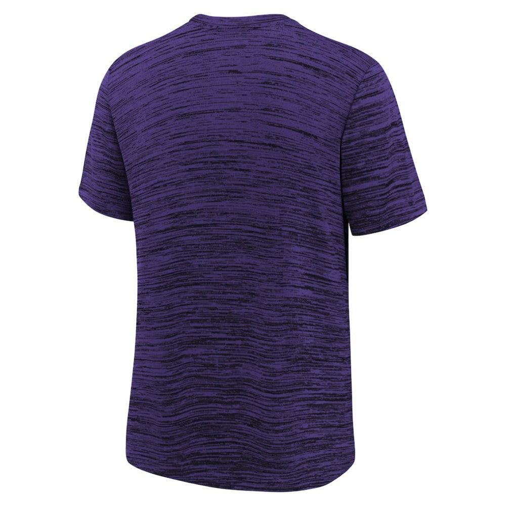 Arizona Diamondbacks Nike Youth Authentic Collection Velocity Dri-FIT T-Shirt for sale