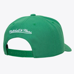 Mitchell & Ness Boston Celtics Legendary Home Pro Pinch Snapback Hat Kelly Green