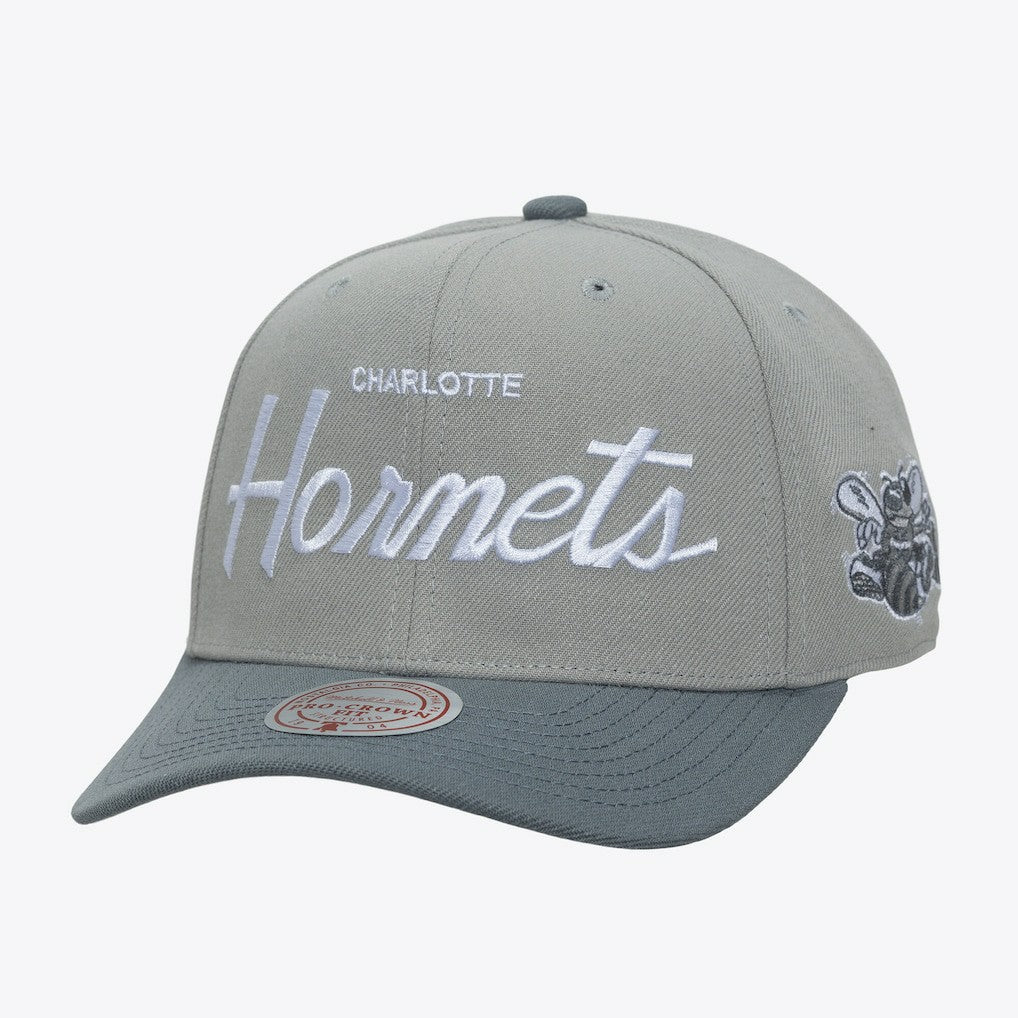 Mitchell & Ness Charlotte Hornets Thunderstorm Head Coach Pro Crown Snapback Hat Gray