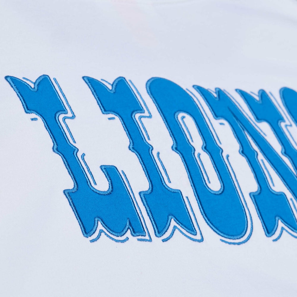 Detroit Lions Arctic T-Shirt - White - Mitchell & Ness