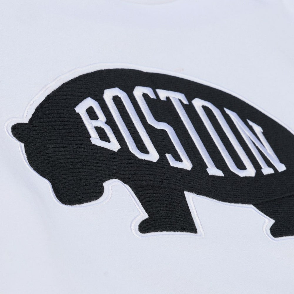Boston Bruins Mitchell & Ness Arctic Fleece Hoodie - White | NHL Clearance
