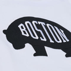 Boston Bruins Mitchell & Ness Arctic Fleece Hoodie - White | NHL Clearance