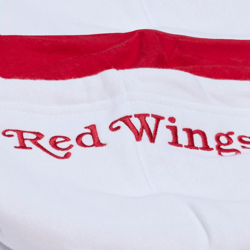 Detroit Red Wings Mitchell & Ness Arctic Fleece Hoodie - White | NHL near me
