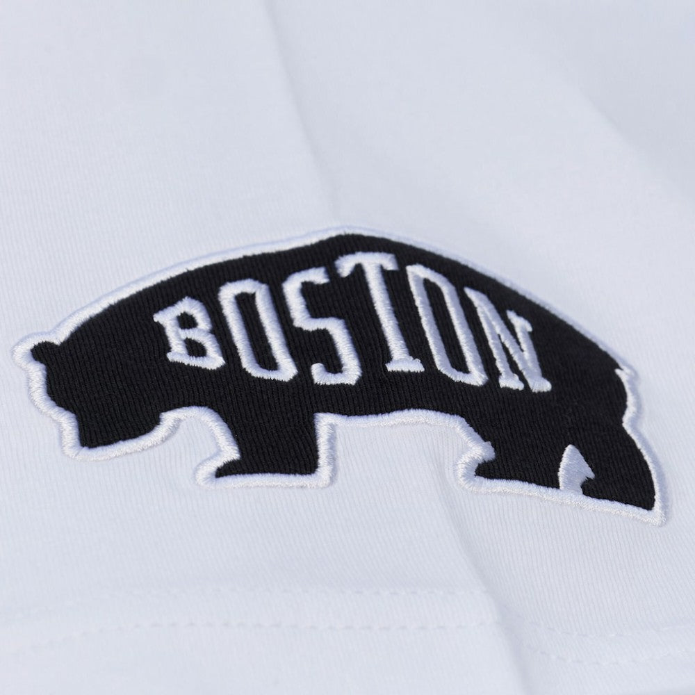 Boston Bruins Mitchell & Ness Arctic T-Shirt- White | NHL Lifestyle
