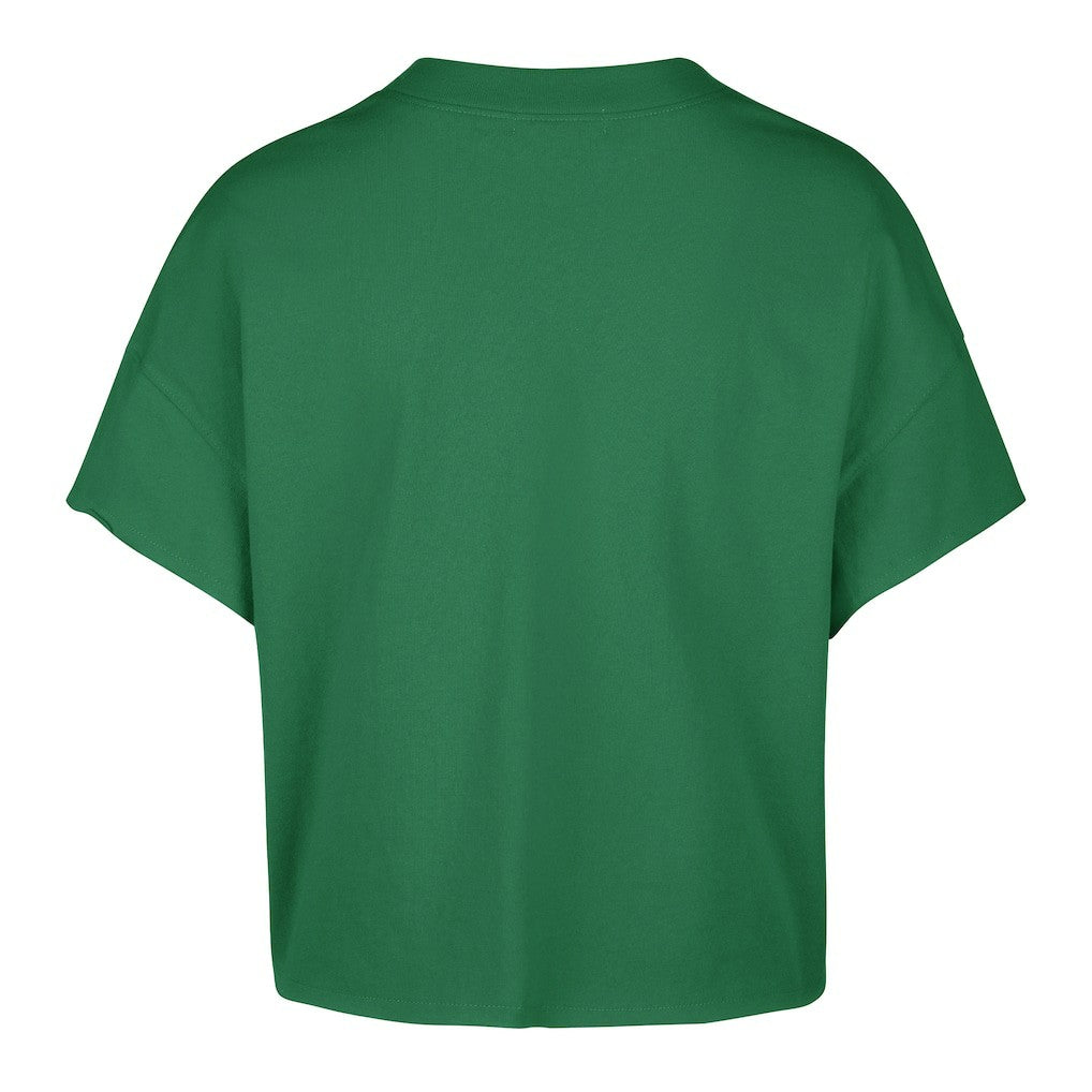 47 brand Boston Celtics '47 Women's Elation Oversized Notch Neck T-Shirt Kelly Green