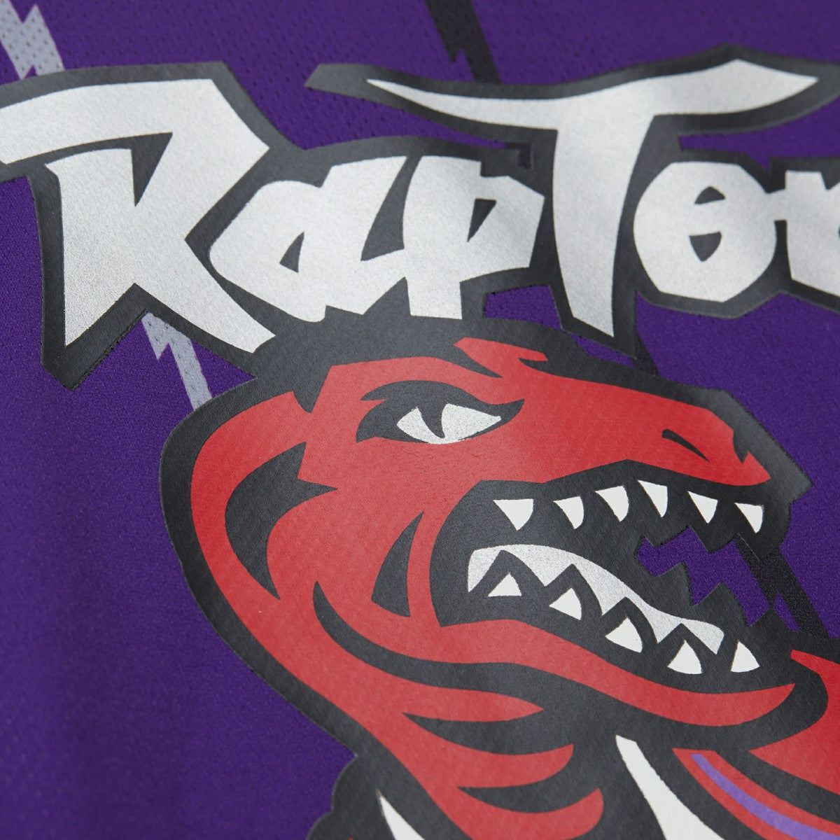 Mitchell & Ness Vince Carter Toronto Raptors Unisex Maxxed Out Fashion Hockey Jersey Purple