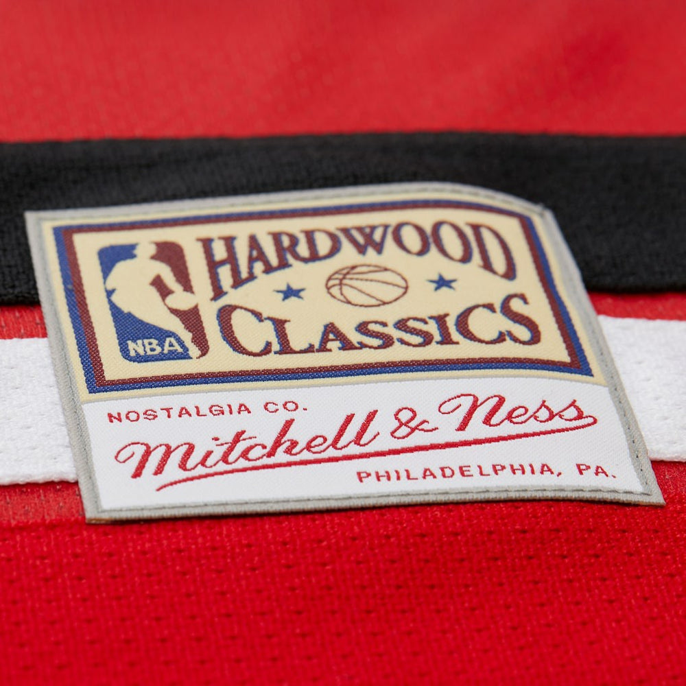 Mitchell & Ness Dikembe Mutombo Atlanta Hawks Unisex Maxxed Out Fashion Hockey Jersey Red