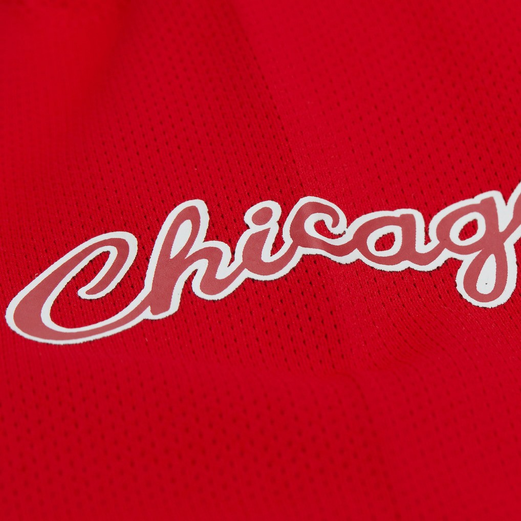 Mitchell & Ness Dennis Rodman Chicago Bulls Unisex Maxxed Out Fashion Hockey Jersey Red