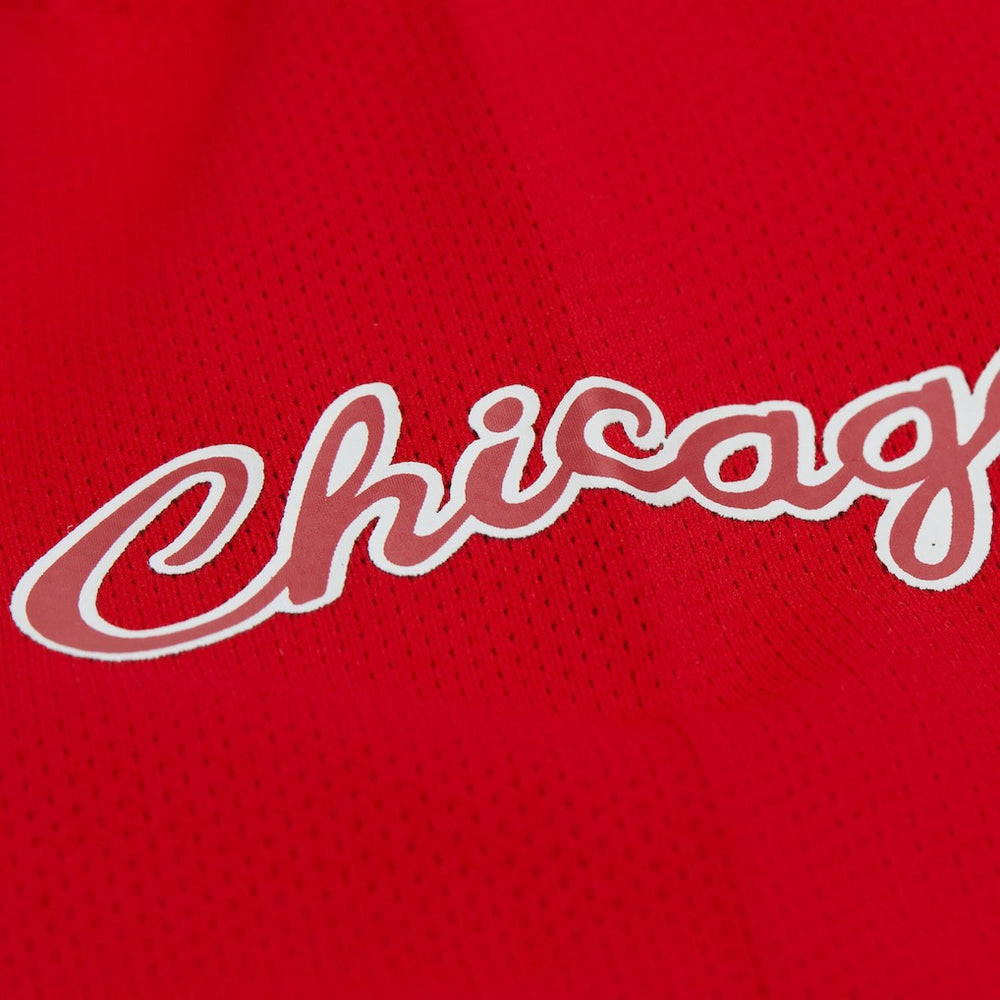 Mitchell & Ness Dennis Rodman Chicago Bulls Unisex Maxxed Out Fashion Hockey Jersey Red
