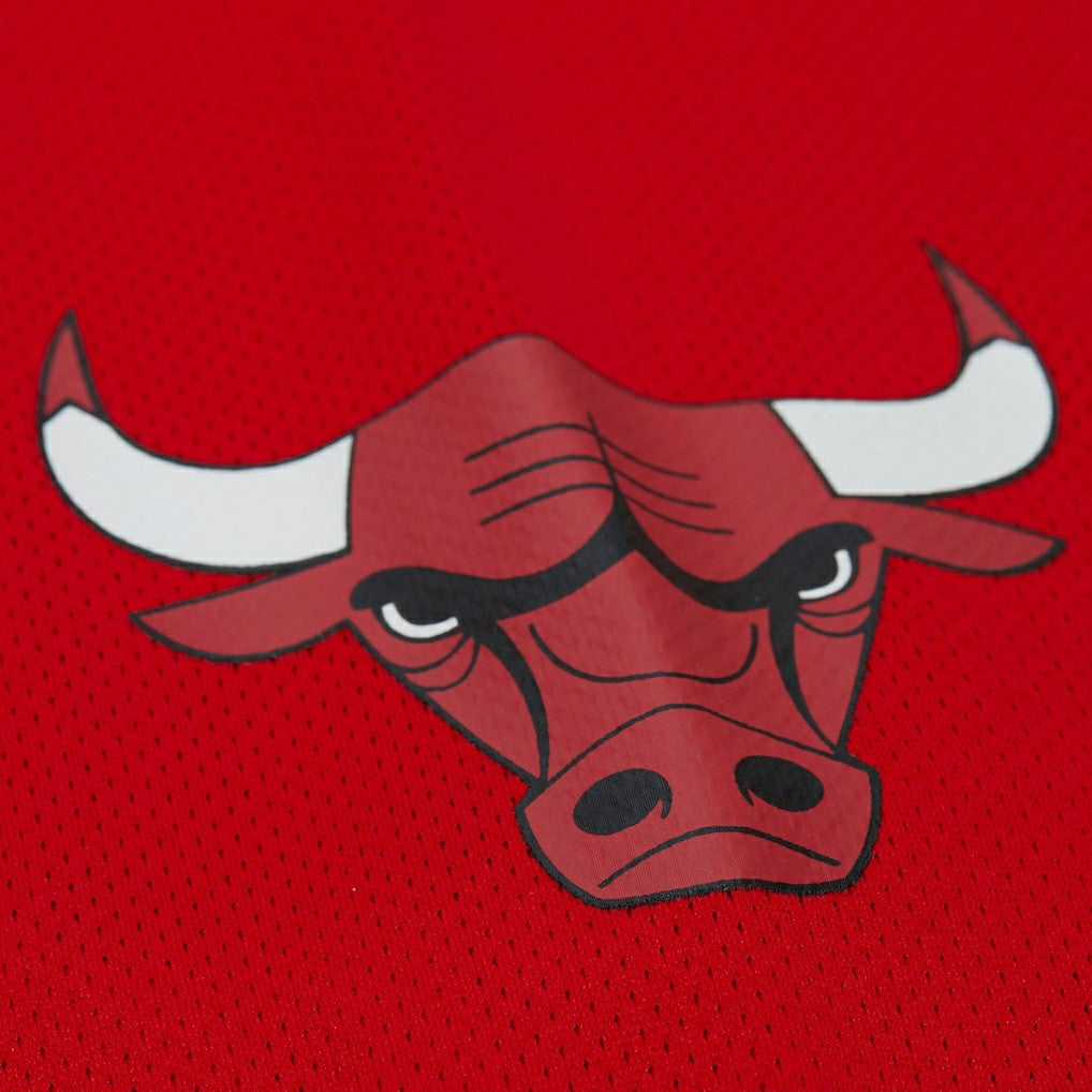 Mitchell & Ness Dennis Rodman Chicago Bulls Unisex Maxxed Out Fashion Hockey Jersey Red