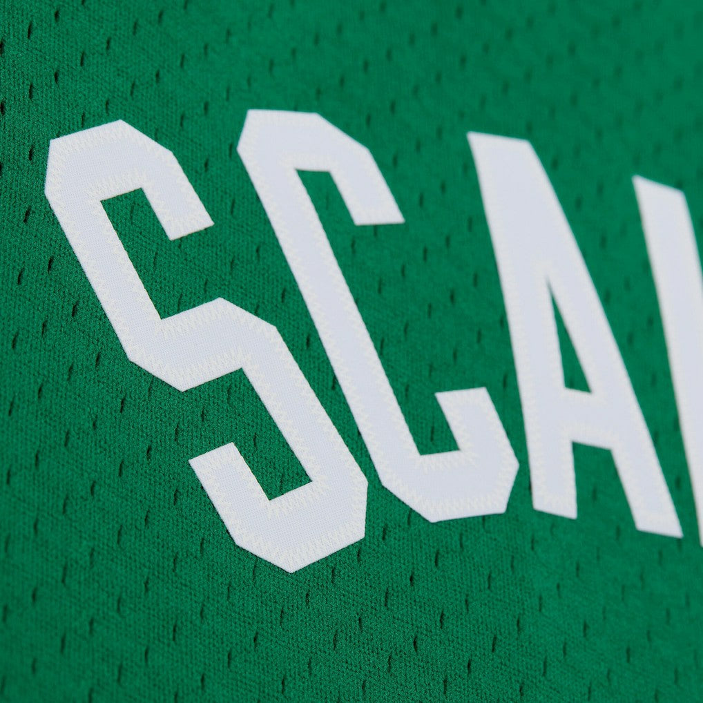 Mitchell & Ness Brian Scalabrine Boston Celtics 2007/08 Hardwood Classics Swingman Jersey Kelly Green