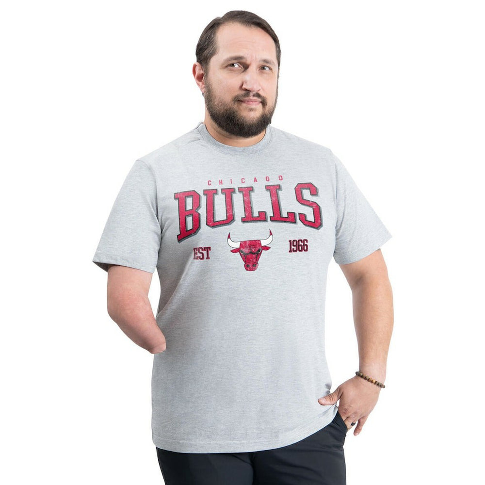 Chicago Bulls G-III Sports by Carl Banks Adaptive Classic Team Spirit Short Sleeve T-Shirt Gray