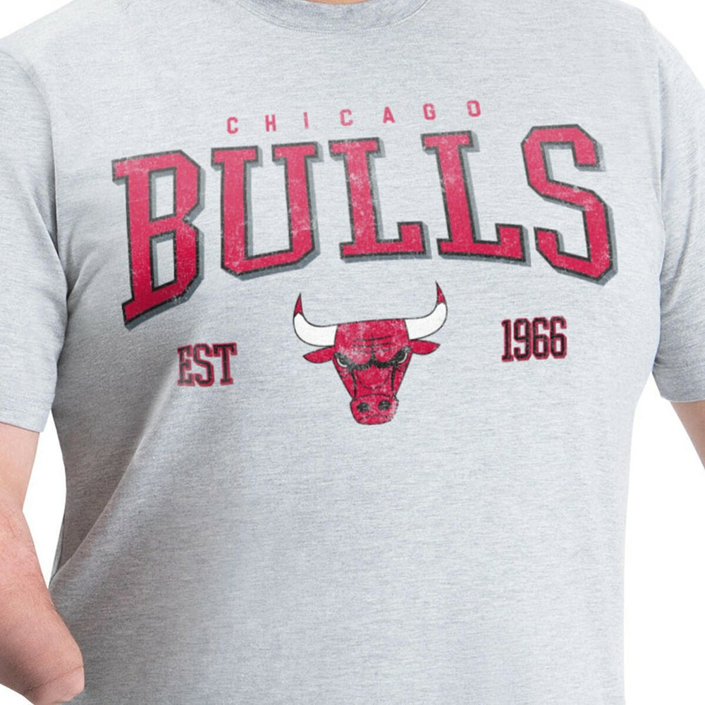 Chicago Bulls G-III Sports by Carl Banks Adaptive Classic Team Spirit Short Sleeve T-Shirt Gray