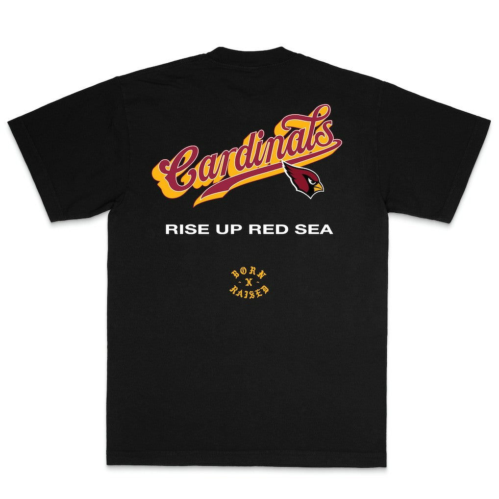 Arizona Cardinals Born x Raised Unisex Pro Script T-Shirt - Black - NFL