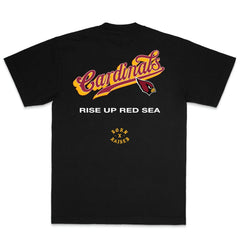 Arizona Cardinals Born x Raised Unisex Pro Script T-Shirt - Black - NFL