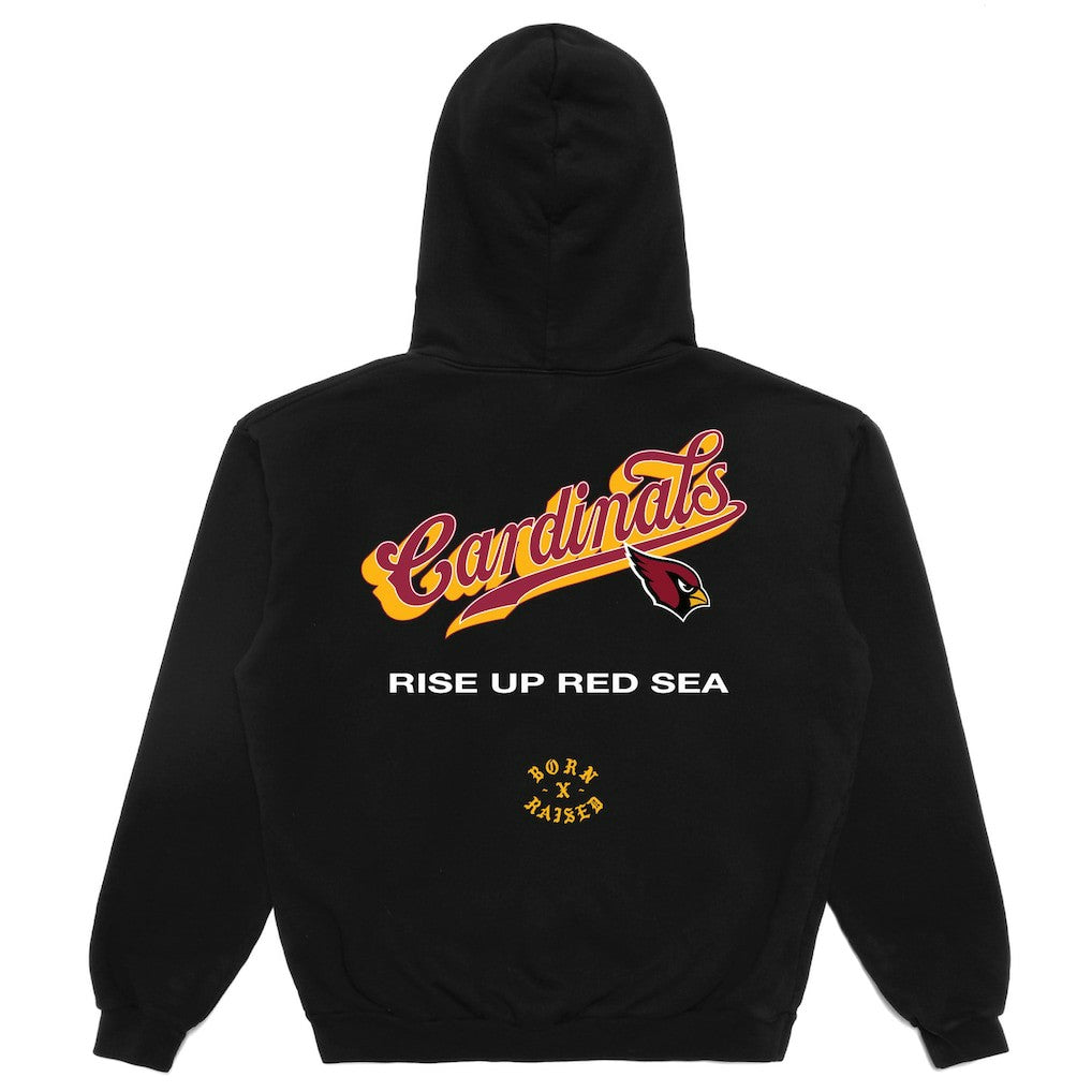 Arizona Cardinals Born x Raised Unisex Pro Script Hoodie - Black - NFL