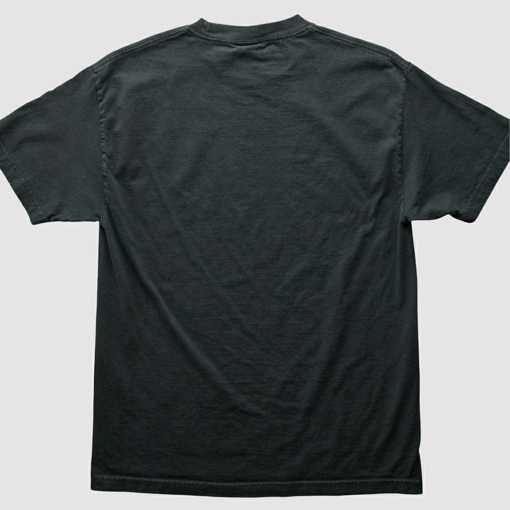 Pittsburgh Steelers NFL 2000s T-Shirt - Black Vintage - Fanatics