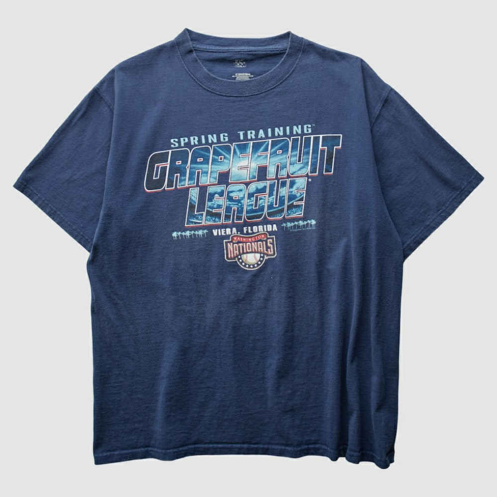 Washington Nationals 2000s T-Shirt Online