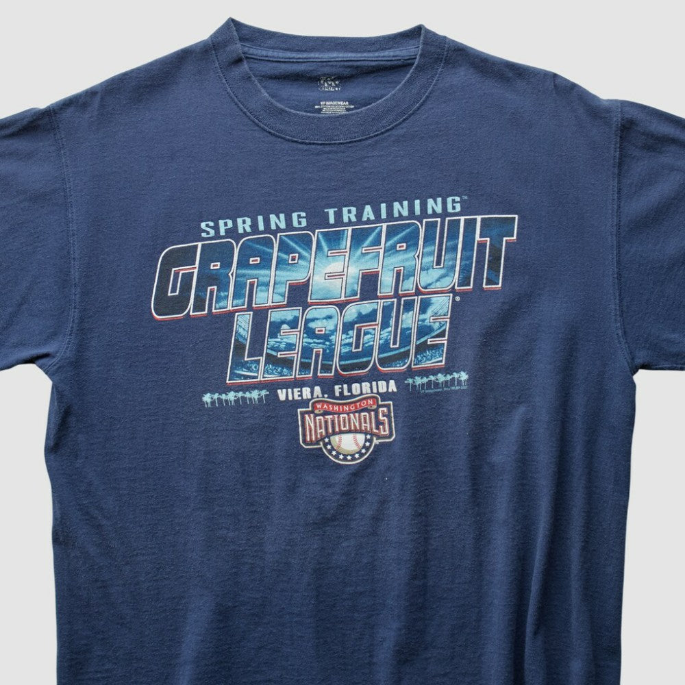 Washington Nationals 2000s T-Shirt Online