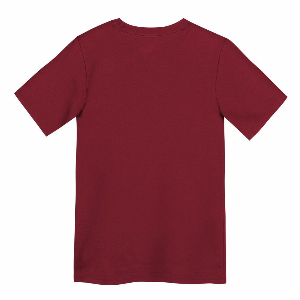Tampa Bay Buccaneers Preschool Icon Legend Dri-FIT T-Shirt - Red - Nike