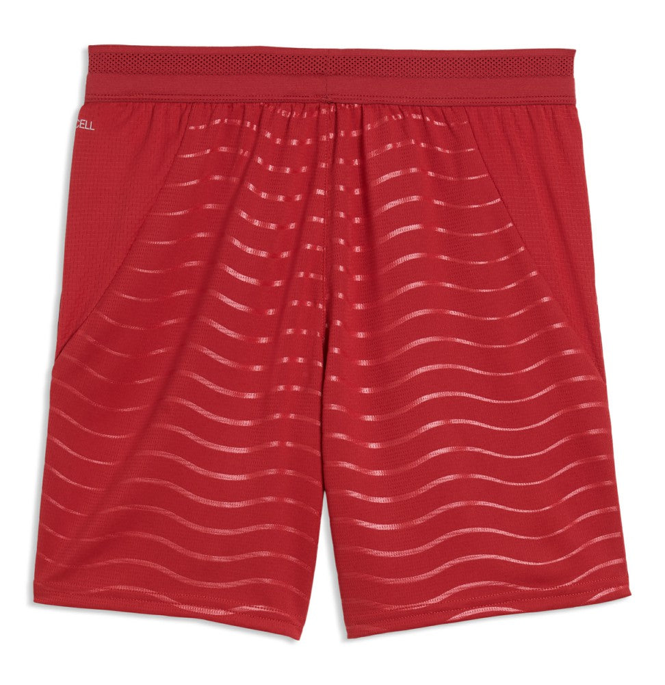 Puma - Portugal National Team Youth 2026 Replica Shorts - Red