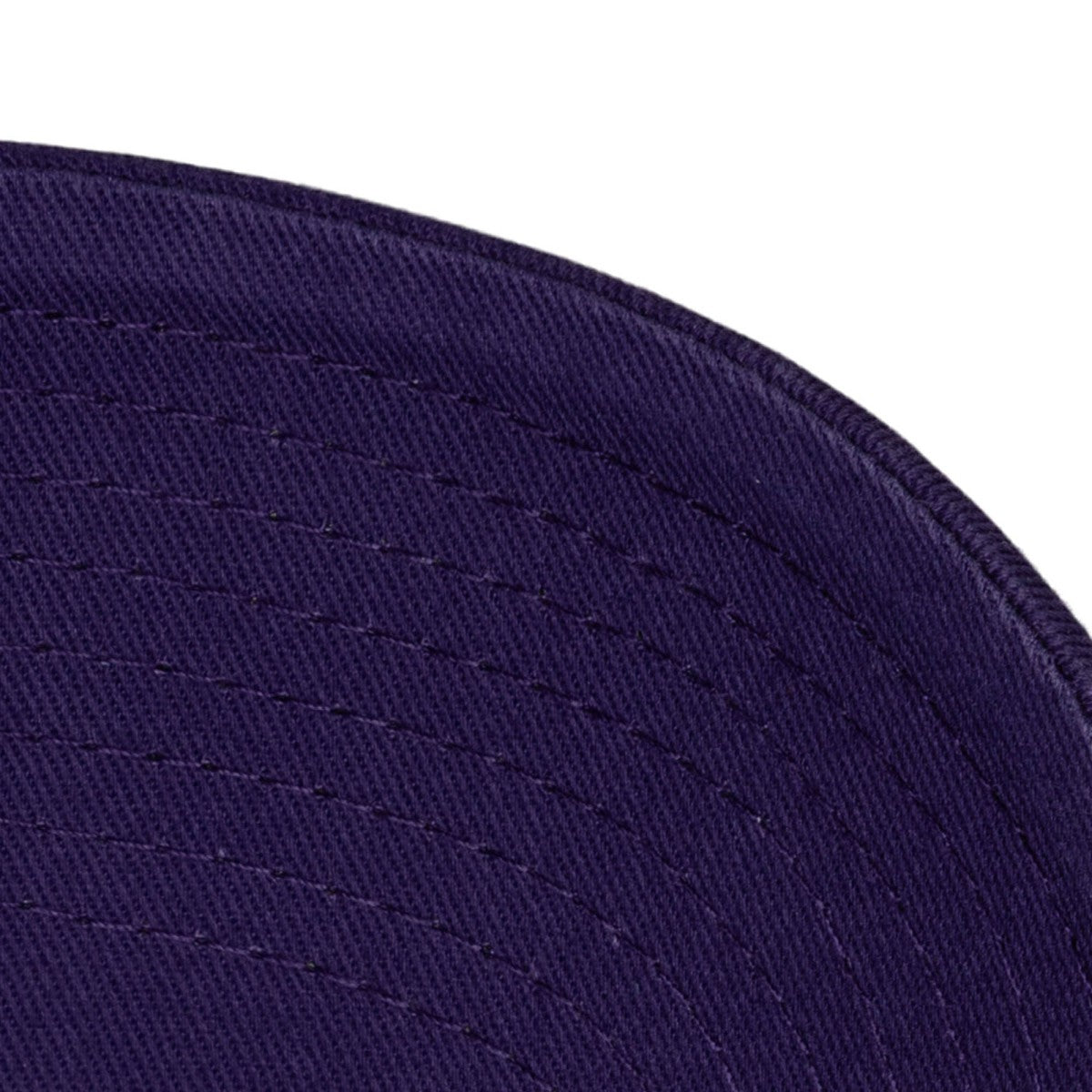 Mitchell & Ness Toronto Raptors Hardwood Classics 1904 Adjustable Hat Purple