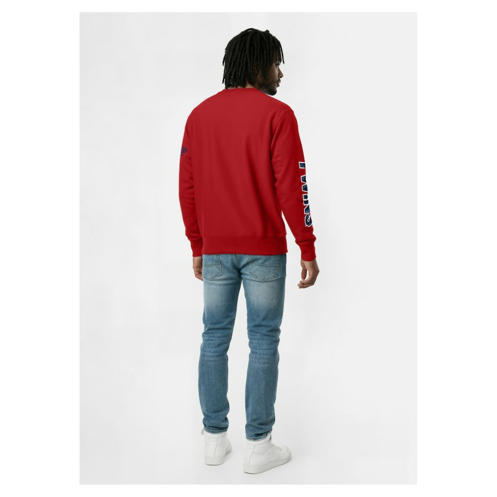 Minnesota Twins Champion Reverse Weave Chenille Sweatshirt Outlet