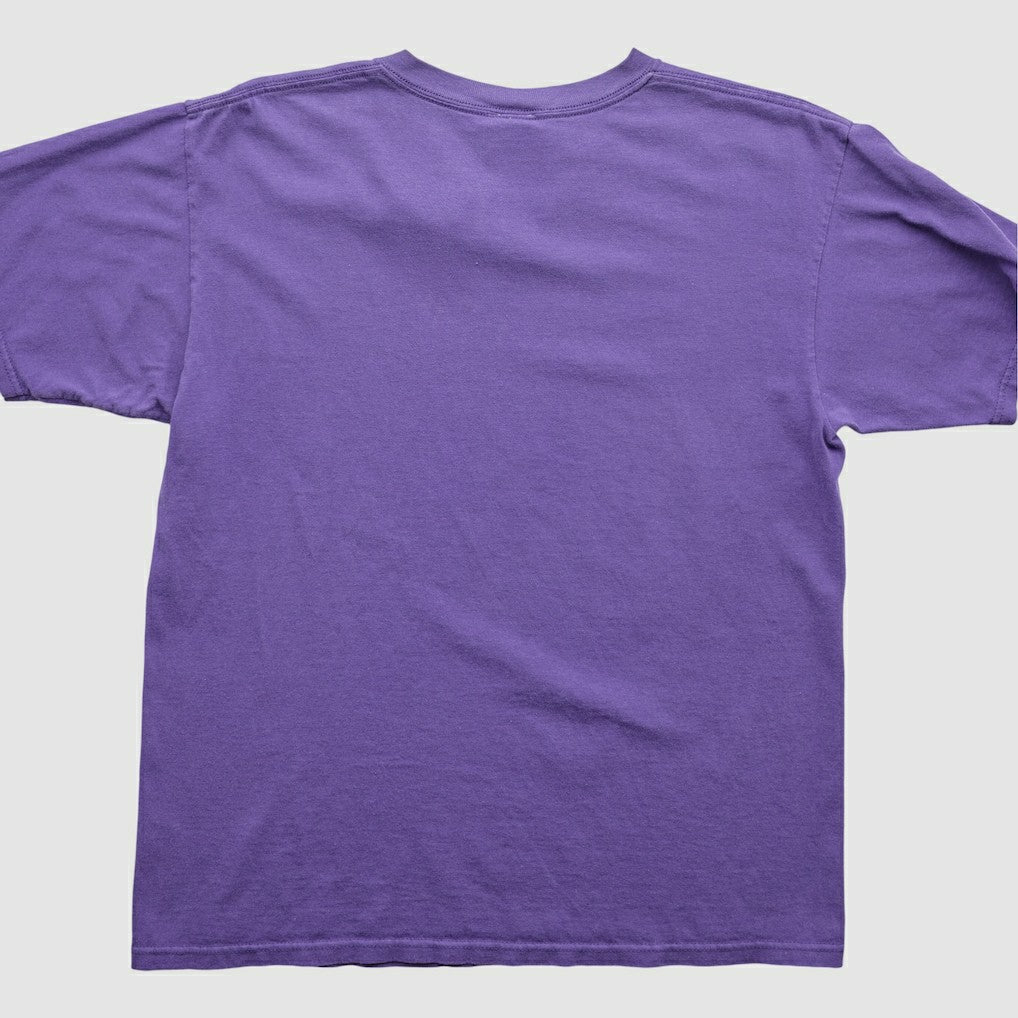 Minnesota Vikings NFL 2000s T-Shirt - Purple Vintage - Fanatics