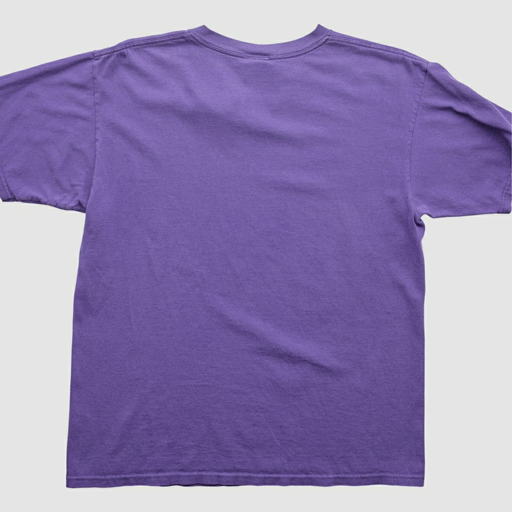 Minnesota Vikings NFL 2000s T-Shirt - Purple Vintage - Fanatics