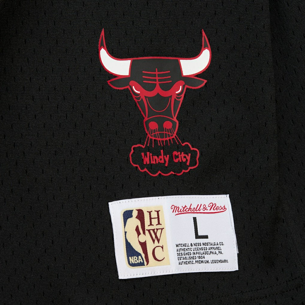 Mitchell & Ness Dennis Rodman Chicago Bulls Mesh Name & Number Short Sleeve Hoodie Black