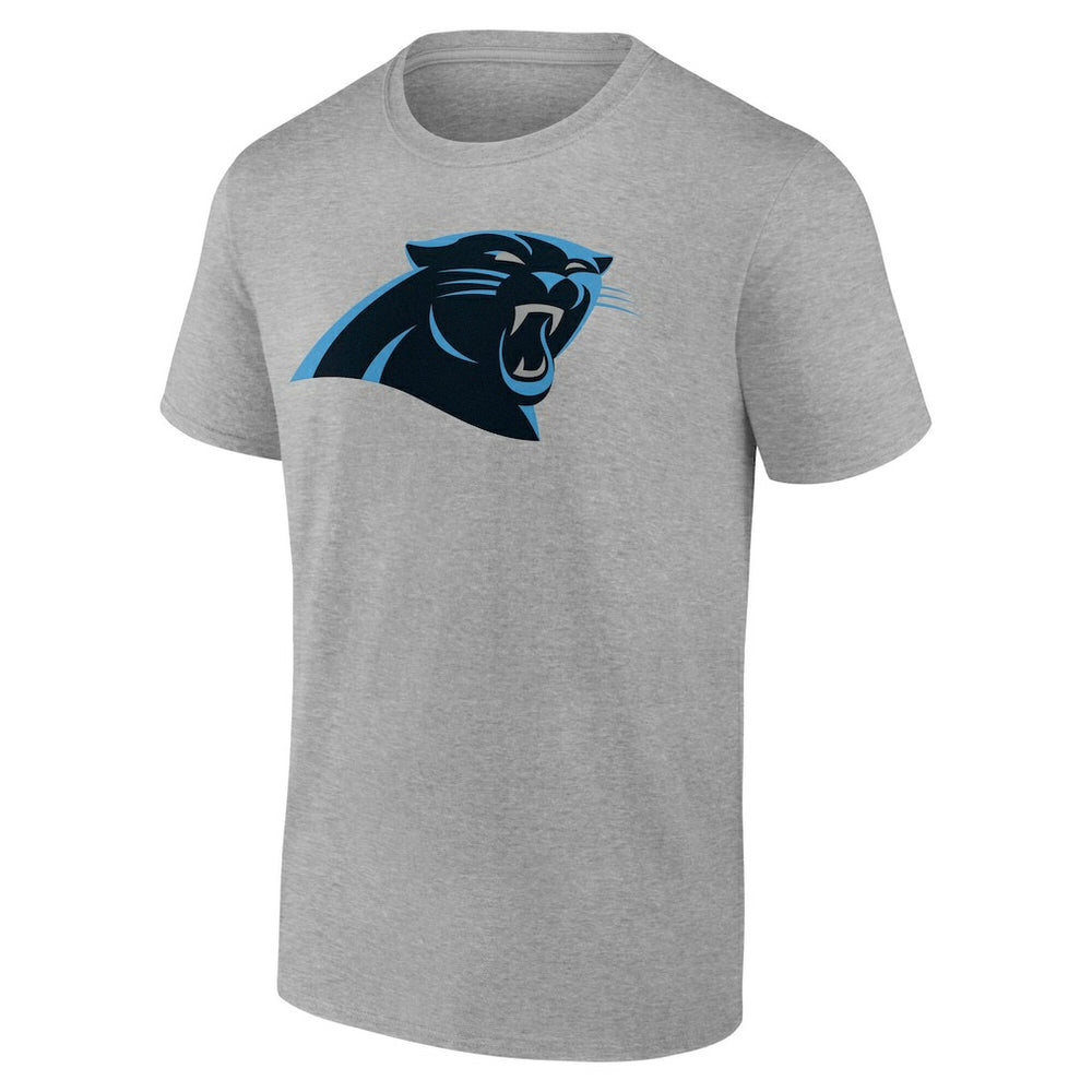 Carolina Panthers Team Authentic Personalized Name & Number T-Shirt - Gray - NFL