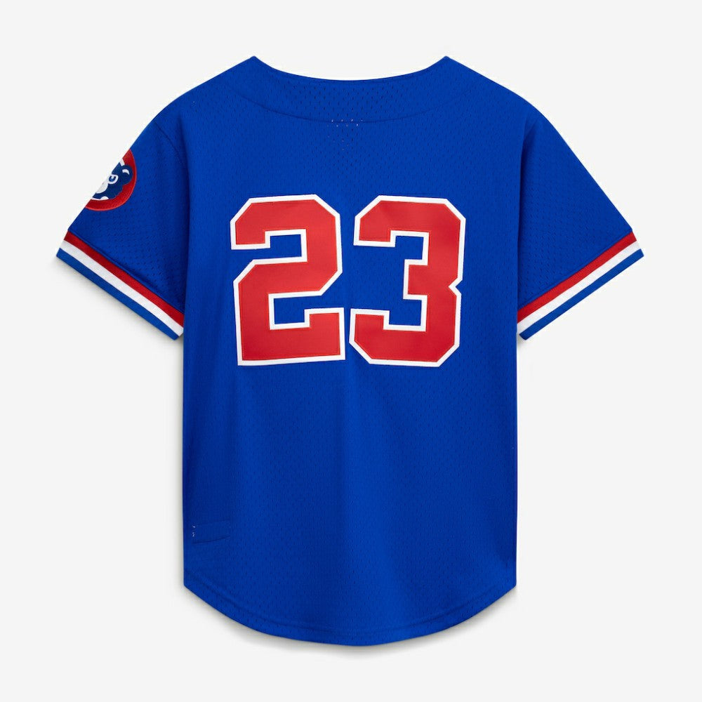 Ryne Sandberg Chicago Cubs Mitchell & Ness Cooperstown Collection 1996 Mesh Batting Practice Button-Up Jersey Sale