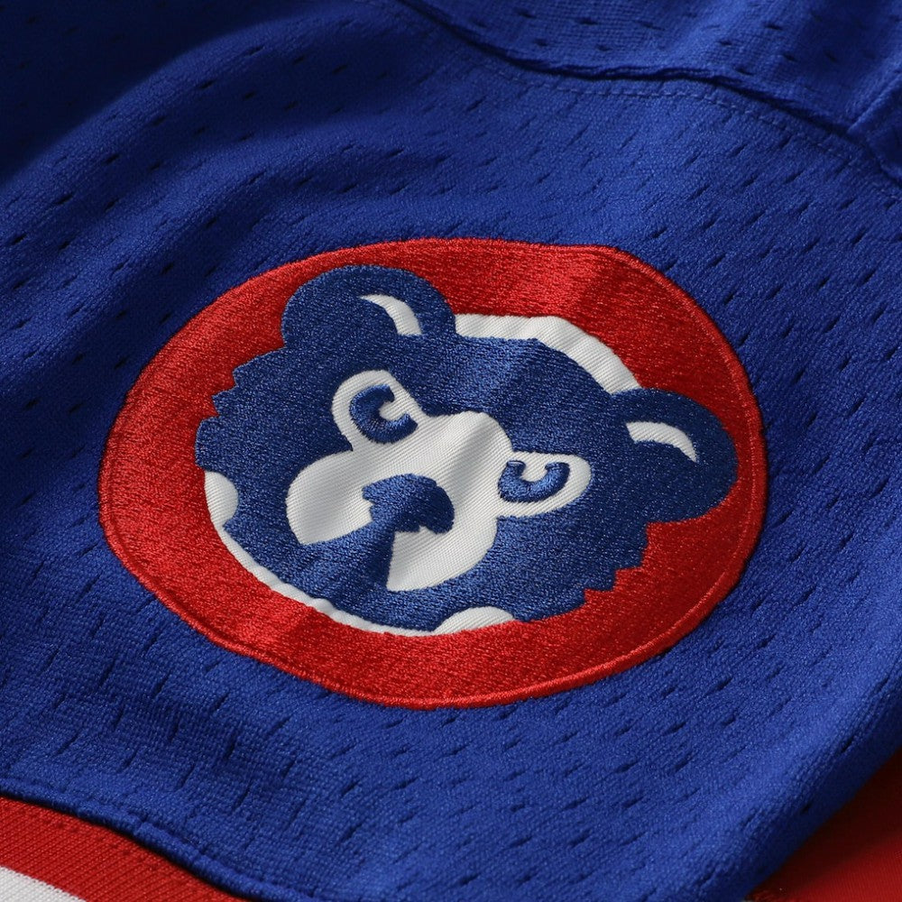 Ryne Sandberg Chicago Cubs Mitchell & Ness Cooperstown Collection 1996 Mesh Batting Practice Button-Up Jersey Sale