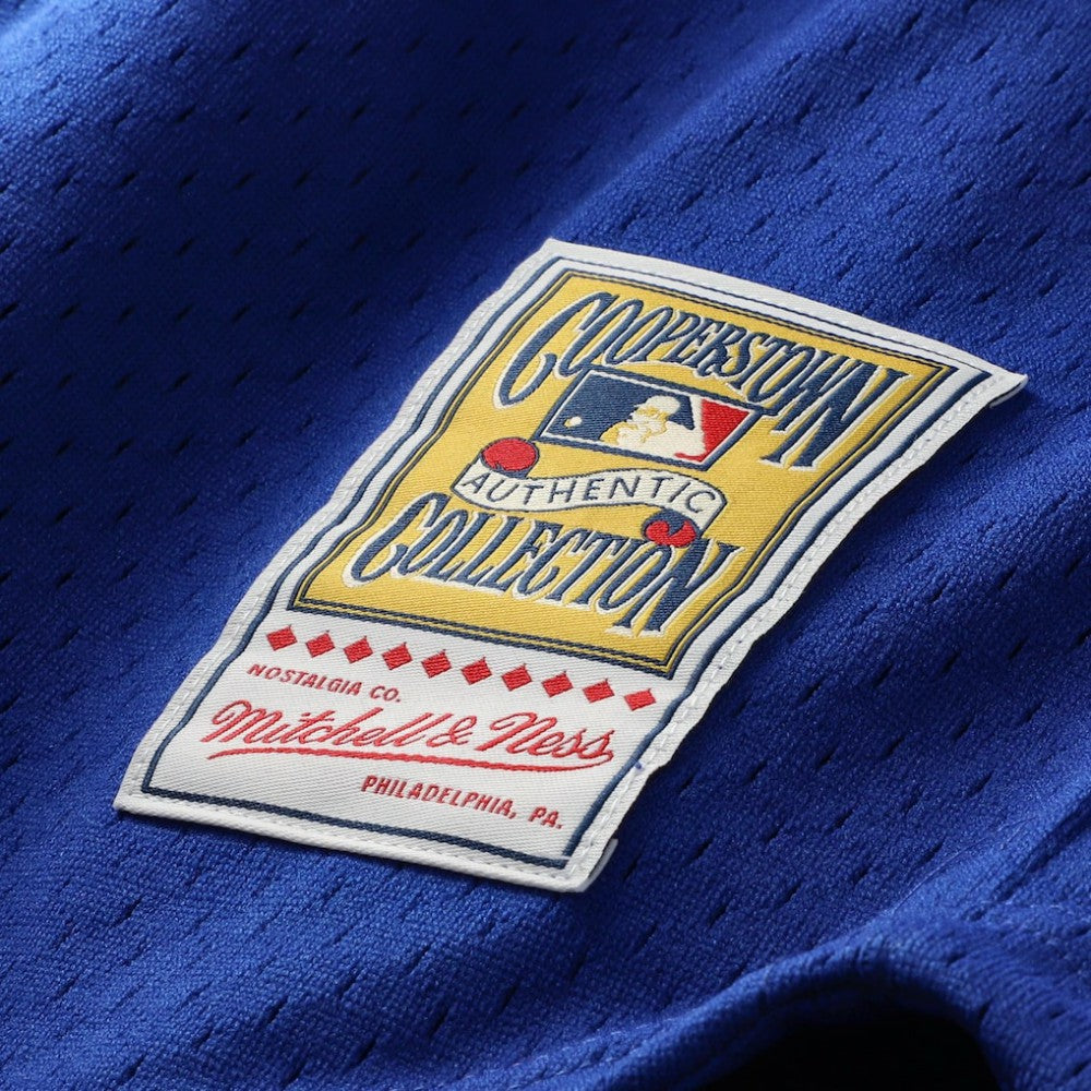 Ryne Sandberg Chicago Cubs Mitchell & Ness Cooperstown Collection 1996 Mesh Batting Practice Button-Up Jersey Sale