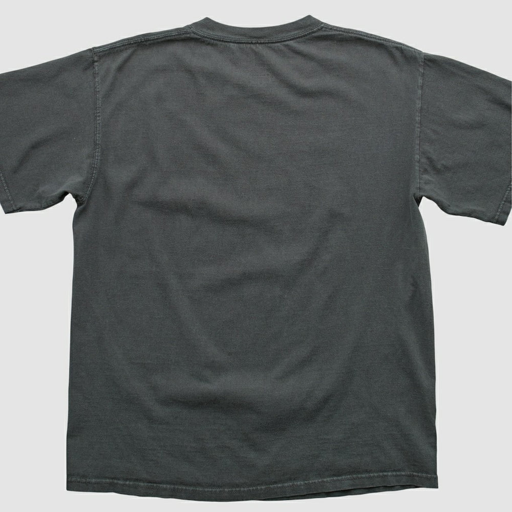 Pittsburgh Steelers 2007 T-shirt - Black Vintage - Fanatics