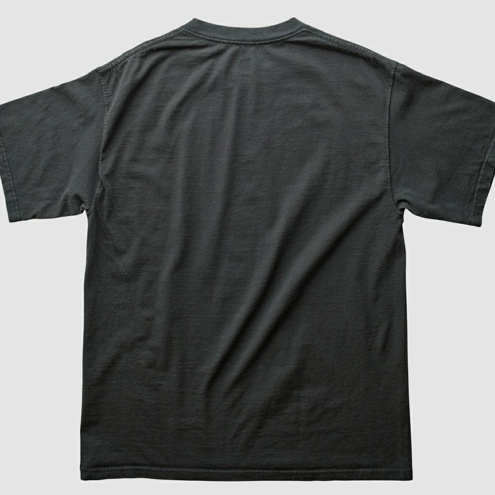 Pittsburgh Steelers NFL 2000s T-shirt - Black Vintage - Fanatics