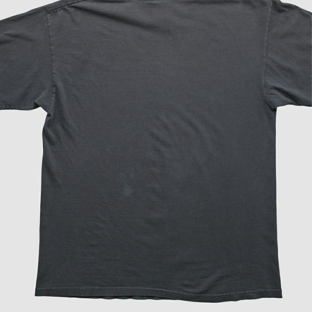 Pittsburgh Steelers NFL 2000s T-shirt - Black Vintage - Fanatics