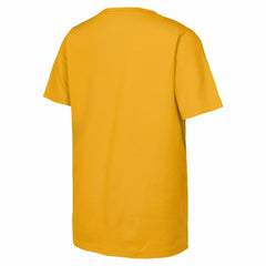 Boston Bruins Fanatics Youth 2026 NHL Stadium Series Authentic Locker Room T-Shirt - Gold | Fanatics on sale